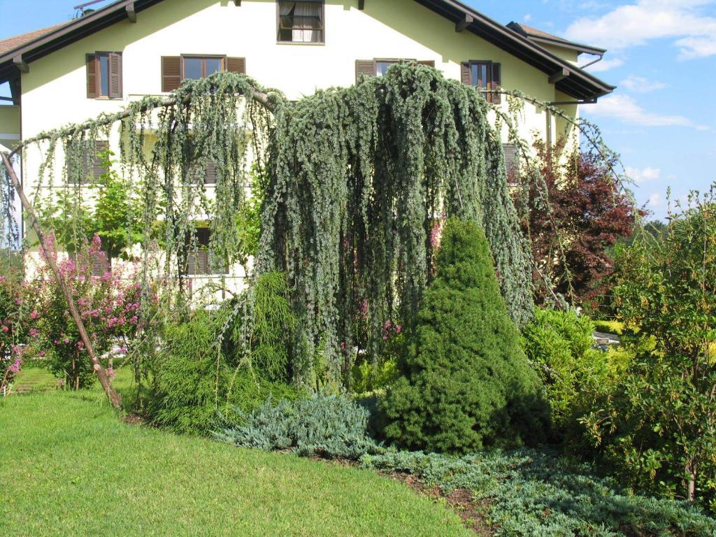 Hotel Isotta Veruno